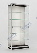 Алюминиевая витрина ВА1-4